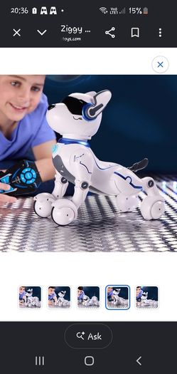 Ziggy dog robot