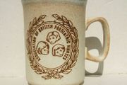 ASSOCIATION OF BRITISH PAEDIATRIC NURSES (by Dunoon Ceramics of Scotland) - a scarce &amp; vintage stoneware effect mug (c.1970's)