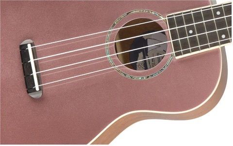 Fender Limited Edition Concert Ukulele with bag and spare strings new