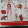Human body discovery Image 4
