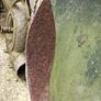 antique anchor Image 3