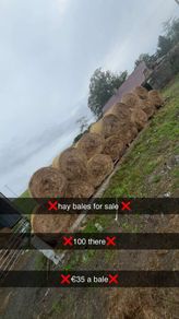 hay bales