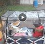 Twin Baby Kart/Wagon Image 2