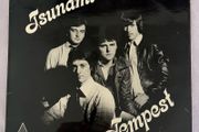 Tempest - Tsunami LP. Fully autographed.  Mega mega rare 1980 release on Northern Ireland Budj label. Never sold on Discogs. Condition is mint - like new.