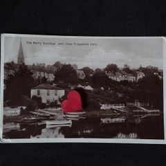 Ireland Postcard : Sunday's Well , Co. Cork , Showing The Ferry From Fitzgerald's Park