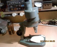 stereo microscope