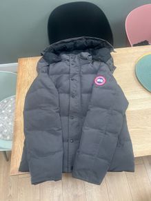 canada goose