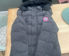 canada goose