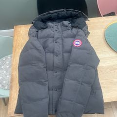 canada goose