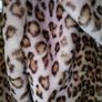 Tuzzi faux fur short cropped jacket Image 6