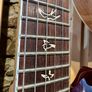 2009 PRS 25th Anniversary Custom 24 10 Top Image 7