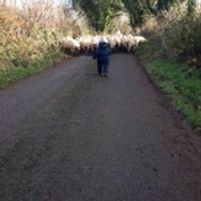 Ballymahon Kitchen Jobs in Ireland