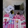 playpen Image 2