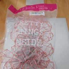 Brand New Battery operated Rose Gold lantern lights