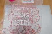 Brand New unopened Rose Gold battery Operated lantern led lights 2 Packs both for 20 Euro