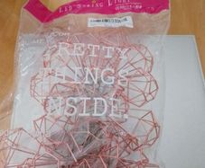 Brand New unopened Rose Gold battery Operated lantern led lights 2 Packs both for 20 Euro