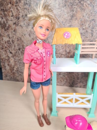BARBIE BUNDLE Barbie pet rescue doll and Skipper doll with puppy dog