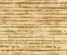 Decorative PVC panel sheets for all walls 3D