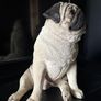 Vintage Pug Statue Image 2