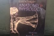 Applications Manual : Essentials of Anatomy and Physiology (Soft cover)  Martini
