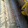 Newholland clayson combine 133 Image 9