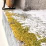 Professional Moss, Algae & Lichens Cleaner Image 4