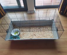 Pet Cage