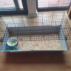 Cage
