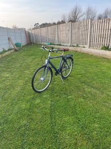 Orion Romet City Bike