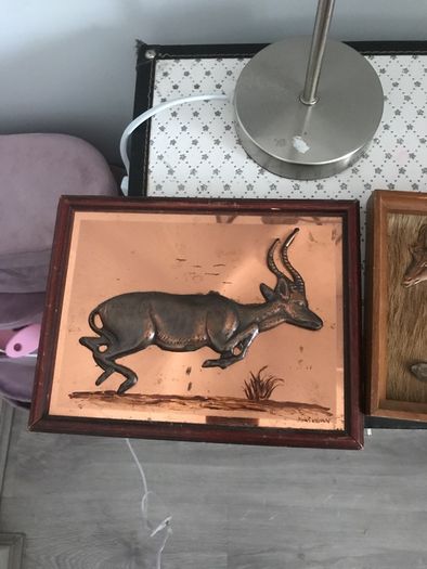frames