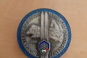 Italian army-related badges