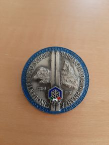 Italian army-related badges
