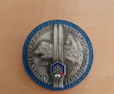 Italian army-related badges