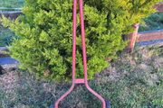 Vintage Follows &amp; Bate push lawnmower