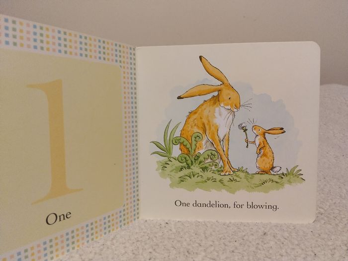collection of hardback board books