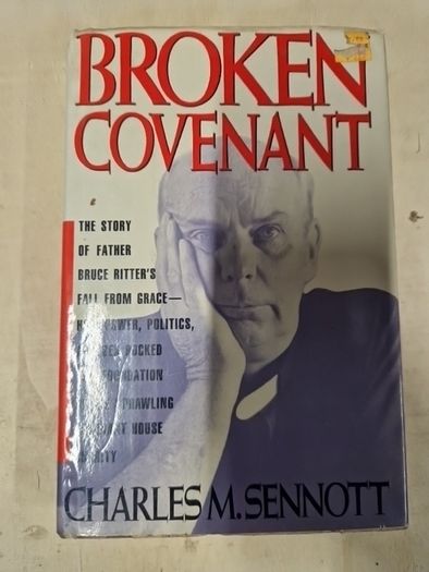 irish history,  politics and interests