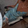 never dully dressed maxi dress Image 3