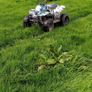 Quad 110cc Image 9