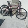 bike Image 3