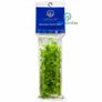 LEAFOLAB AQUARIUM PLANTS - free from snails, algae, and pathogens. Image 9