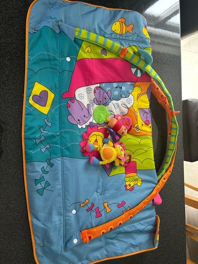 Baby Activity Playmat