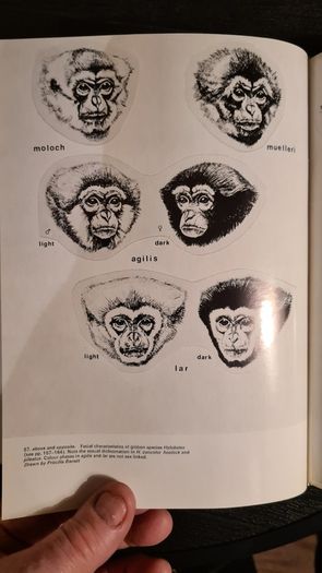 International Zoo Yearbook Volume 18. Edited By P. J. S. Olney. Published By The Zoological Society Of London. First Edition. Hardback With Dustjacket In Very Good Condition.