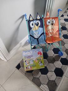Bluey buggy