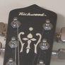 6 string Banjo Image 2