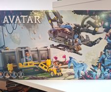 Lego Avatar 75573