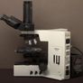 Olympus BX50F4 Trinocular Microscope Image 2