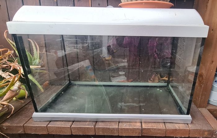 terrarium/aquarium