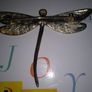 Dragonfly Brooch Image 2