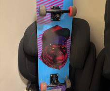 Skateboard