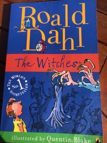 Roald Dahl The Witches